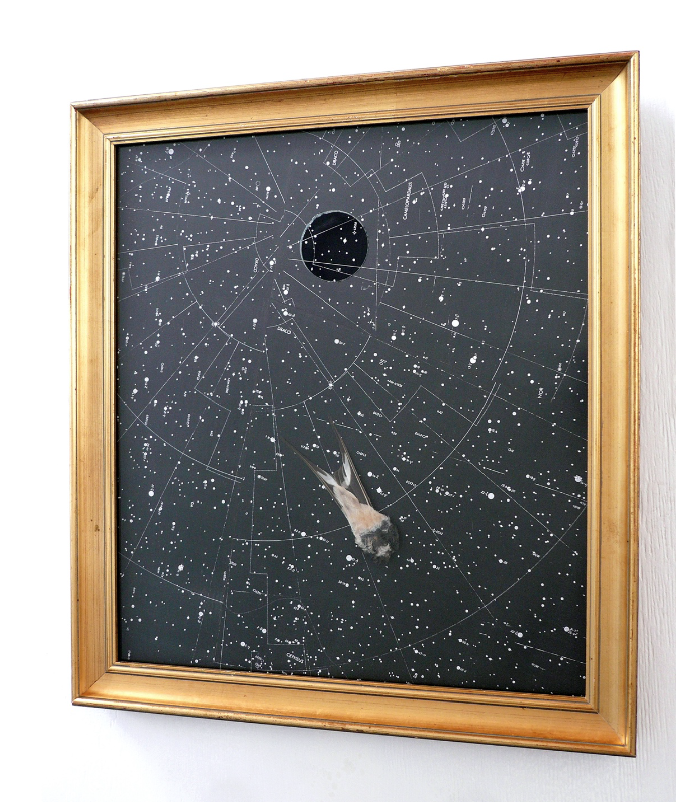 Wido Blokland, Occhio di Dio - 2017 star maps, swallow tail on board, cut glass, frame 42 x 38 cm