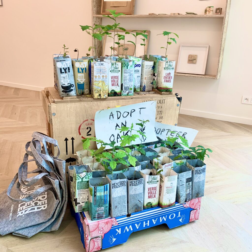 Adopt an Oak van Bart Van Dijck