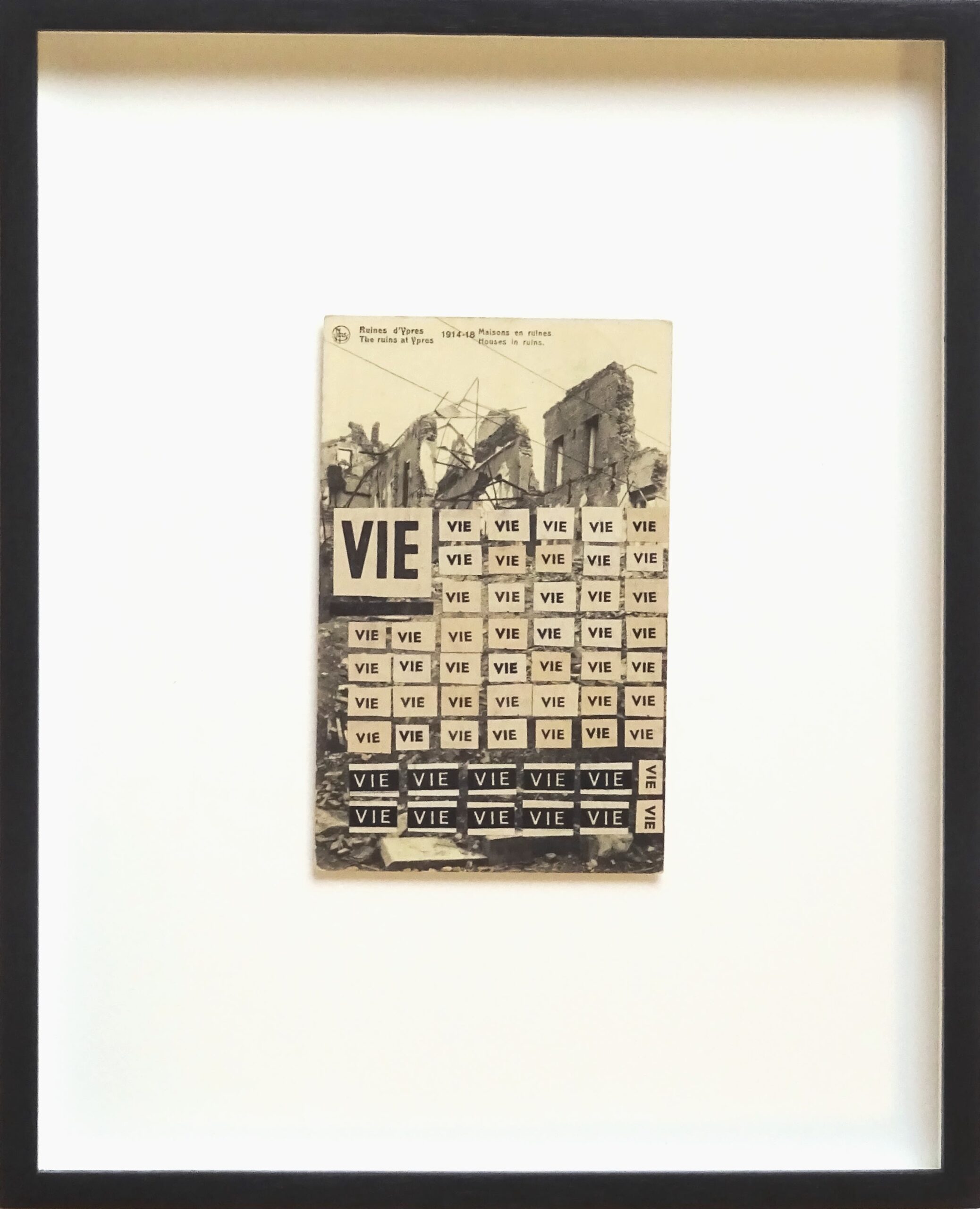 Wim Nival, Vie - 29,5 x 24 x 3 cm