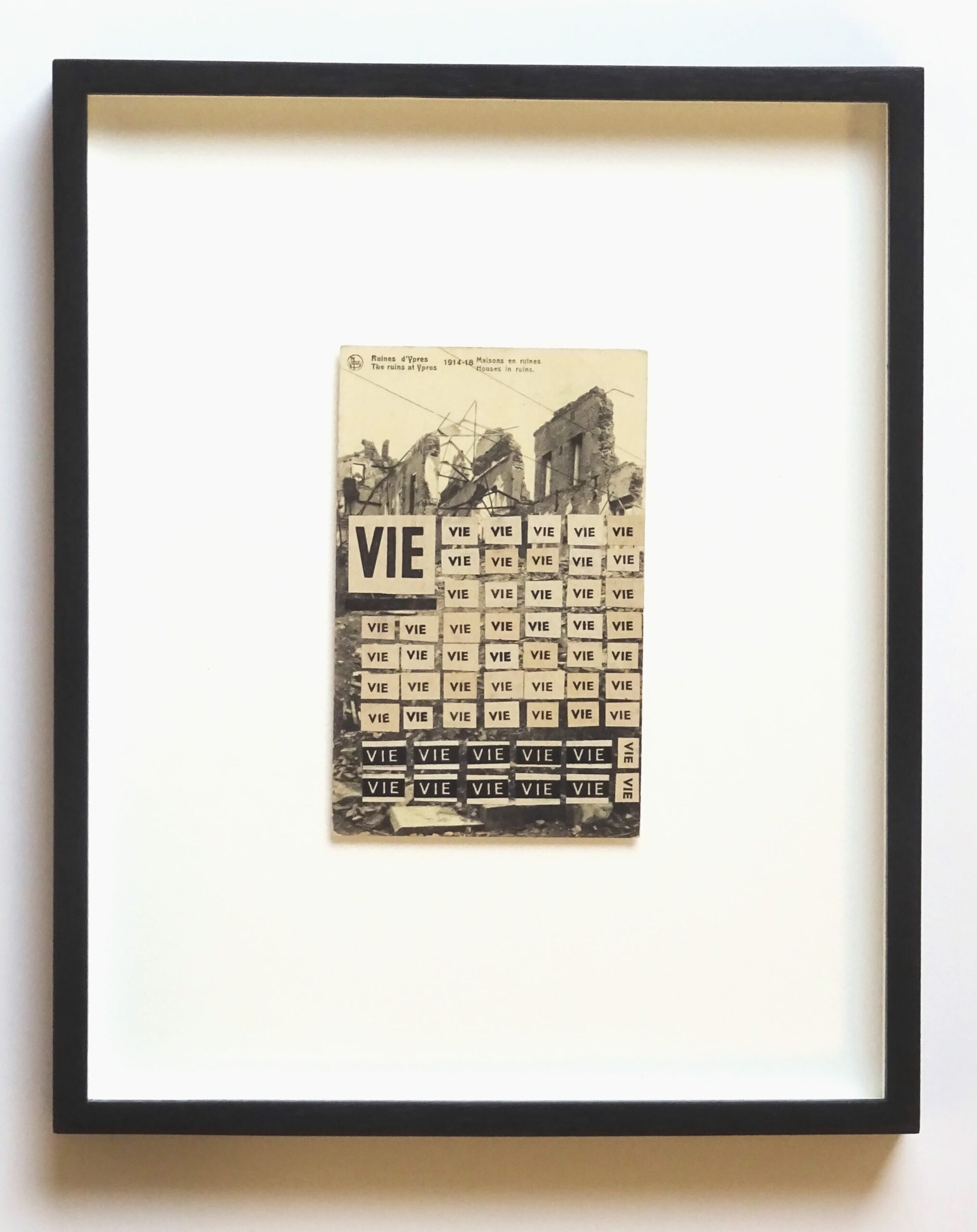 Wim Nival, Vie - 29,5 x 24 x 3 cm