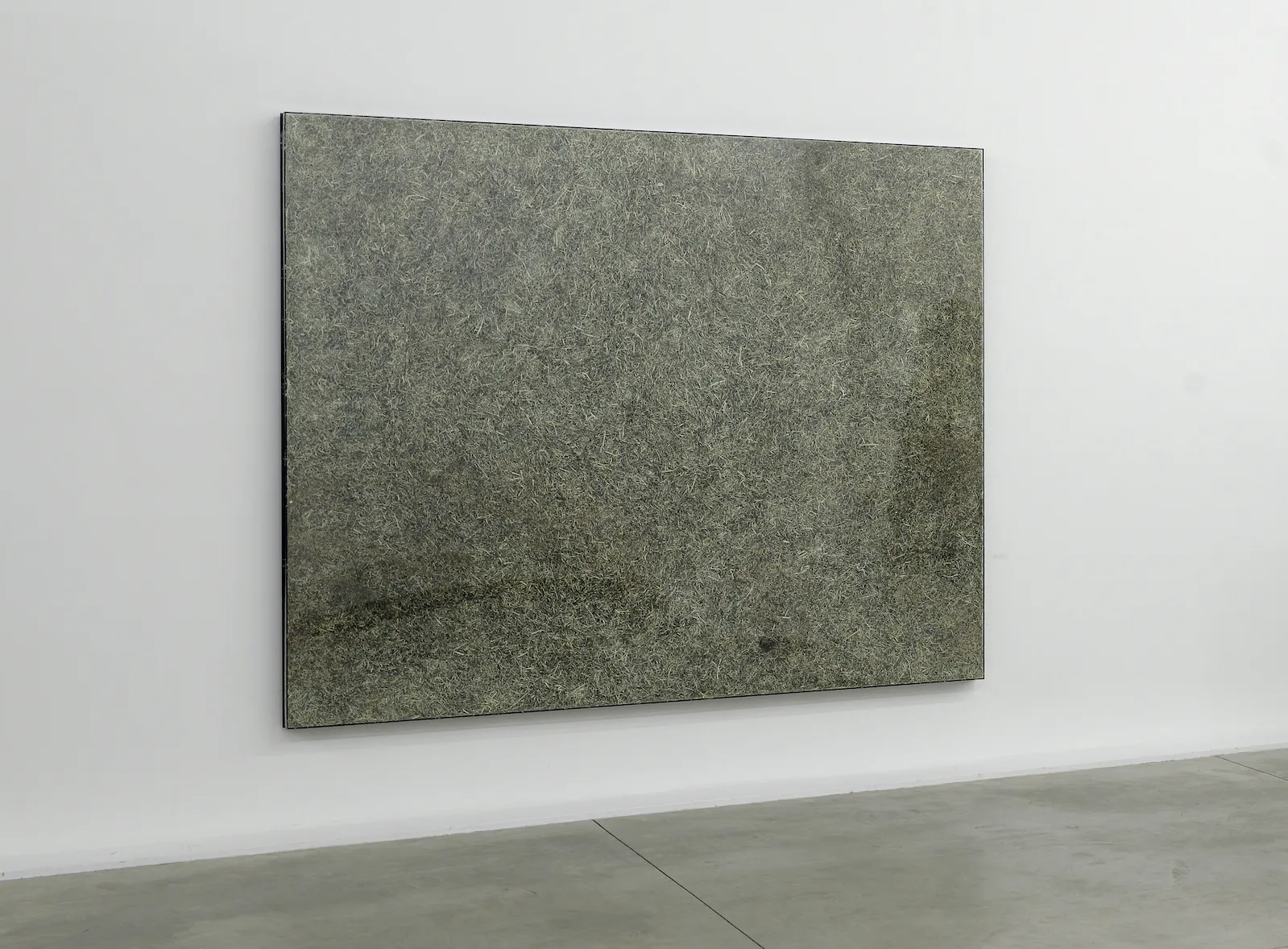 Shredded Value, Jan Henderikse, 1979-2014 - 200 × 250 × 8 cm