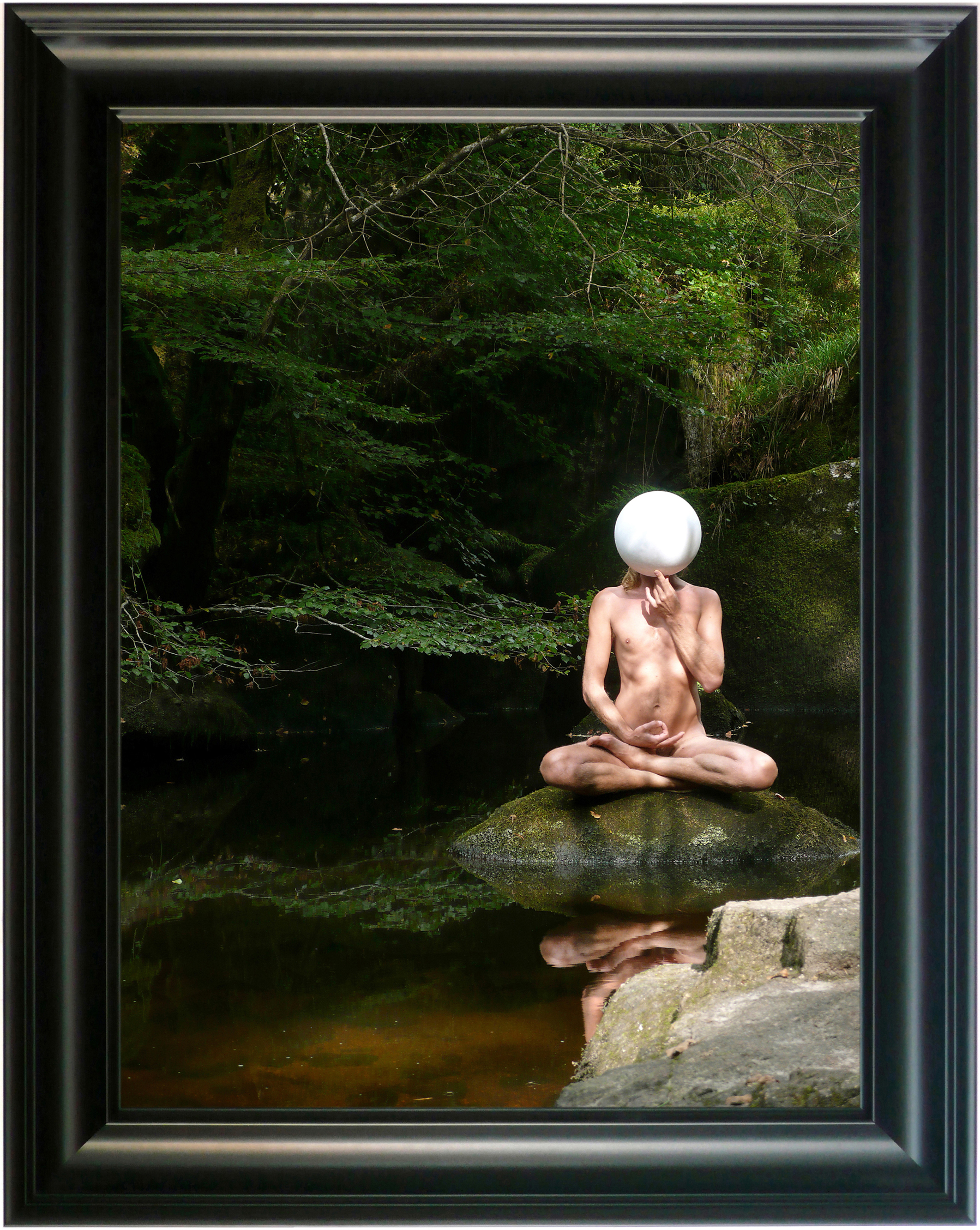 Wido Blokland - Narcissus [La Mare Aux Fées 1], 2008