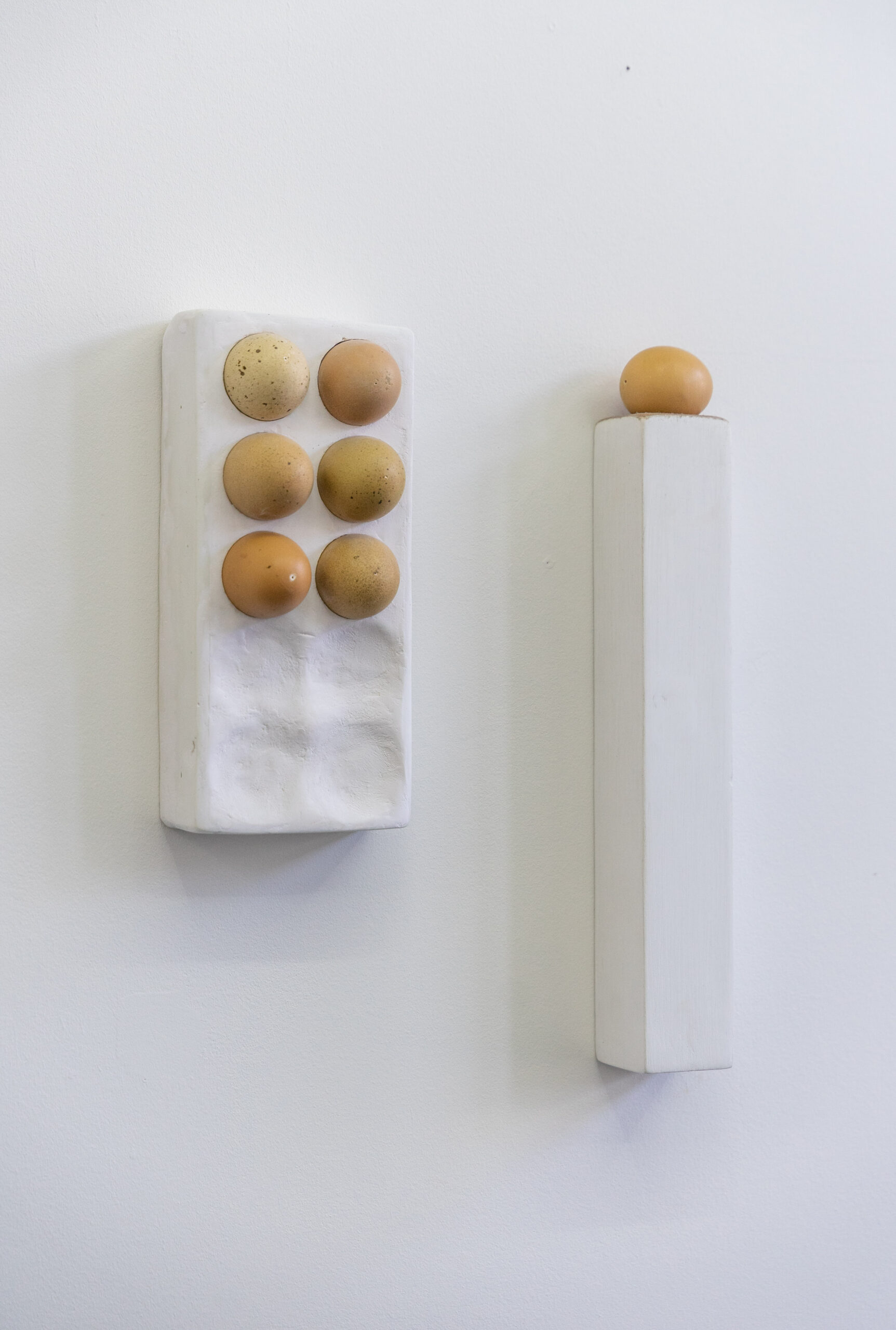 Alexandra Phillips, 2021 - brown egg blown out, wood, whitewash 