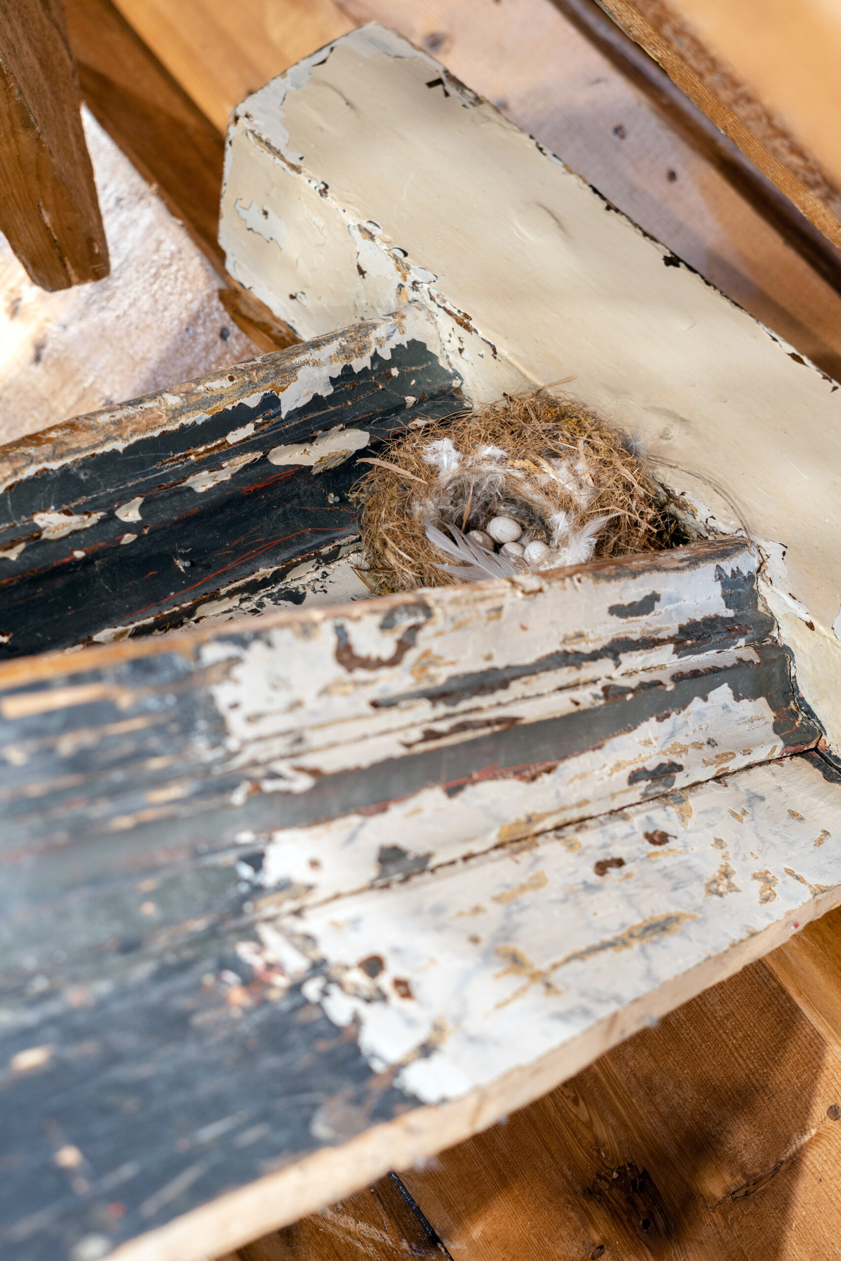 When all else fails, 2026 signed and dated assemblage with staircase wood, birds nest and eggs ca 350 x 350 x 350 cm (KK056)